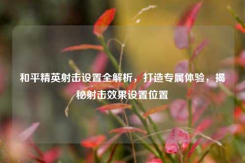 和平精英射击设置全解析，打造专属体验，揭秘射击效果设置位置