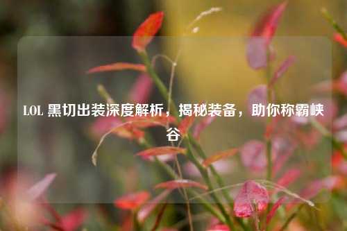 LOL 黑切出装深度解析，揭秘装备，助你称霸峡谷