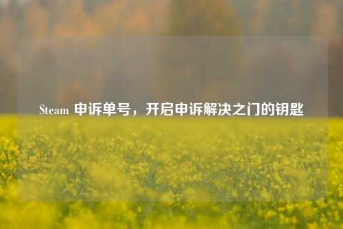 Steam 申诉单号,开启申诉解决之门的钥匙