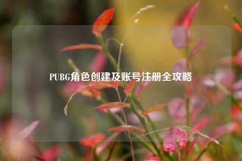 PUBG角色创建及账号注册全攻略