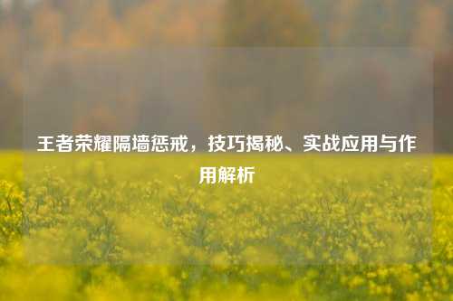 王者荣耀隔墙惩戒，技巧揭秘、实战应用与作用解析