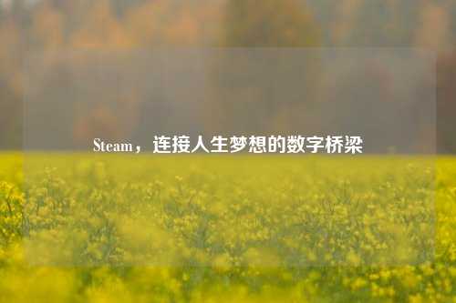 Steam,连接人生梦想的数字桥梁