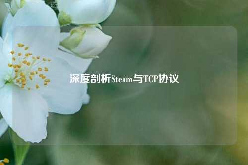 深度剖析Steam与TCP协议