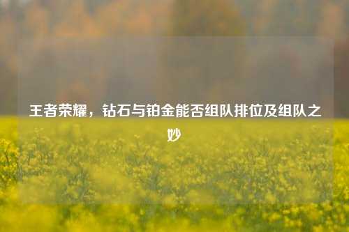 王者荣耀，钻石与铂金能否组队排位及组队之妙
