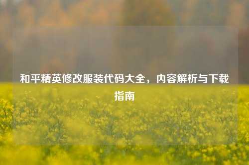 和平精英修改服装代码大全,内容解析与下载指南