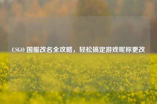 CSGO 国服改名全攻略，轻松搞定游戏昵称更改