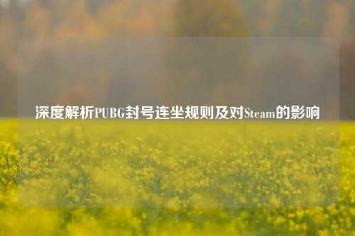 深度解析PUBG封号连坐规则及对Steam的影响