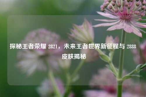 探秘王者荣耀 2821，未来王者世界新征程与 2888 皮肤揭秘