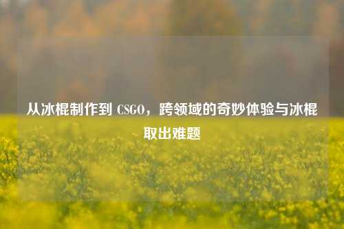 从冰棍制作到 CSGO，跨领域的奇妙体验与冰棍取出难题