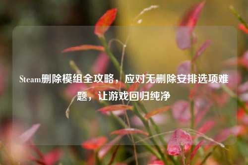 Steam删除模组全攻略,应对无删除安排选项难题,让游戏回归纯净