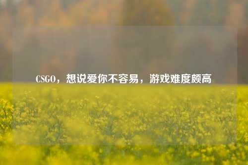 CSGO，想说爱你不容易，游戏难度颇高