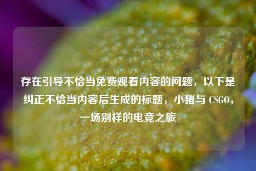 存在引导不恰当免费观看内容的问题，以下是纠正不恰当内容后生成的标题，小猪与 CSGO，一场别样的电竞之旅