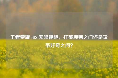 王者荣耀 iOS 无限视距,打破规则之门还是玩家好奇之问?