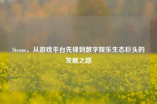 Steam,从游戏平台先锋到数字娱乐生态巨头的发展之路