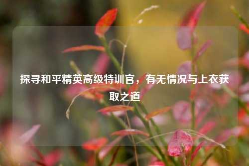 探寻和平精英高级特训官,有无情况与上衣获取之道
