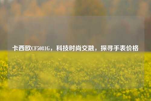 卡西欧CF5081G，科技时尚交融，探寻手表价格