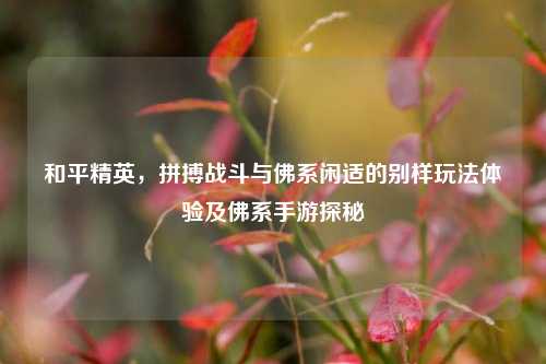 和平精英,拼搏战斗与佛系闲适的别样玩法体验及佛系手游探秘