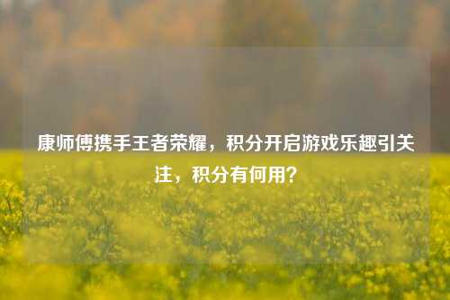 康师傅携手王者荣耀，积分开启游戏乐趣引关注，积分有何用？