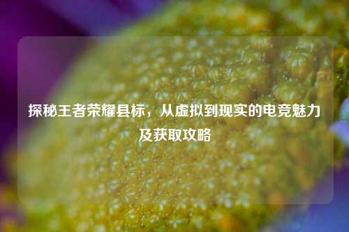 探秘王者荣耀县标，从虚拟到现实的电竞魅力及获取攻略