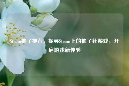 Steam柚子推荐，探寻Steam上的柚子社游戏，开启游戏新体验