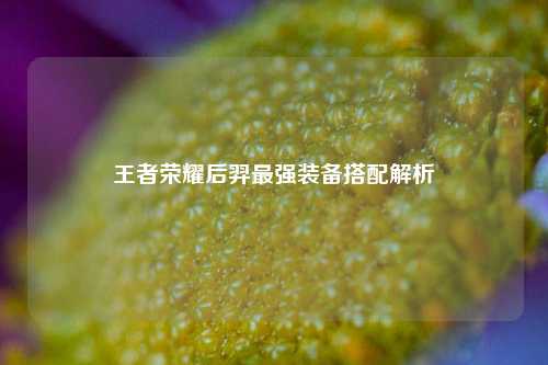 王者荣耀后羿最强装备搭配解析