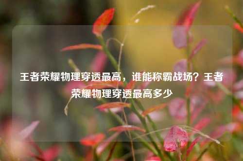 王者荣耀物理穿透最高，谁能称霸战场？王者荣耀物理穿透最高多少