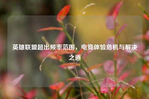 英雄联盟超出频率范围,电竞体验危机与解决之道