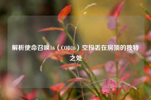 解析使命召唤16（COD16）空投丢在房顶的独特之处