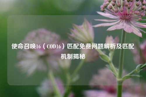 使命召唤16（COD16）匹配免费问题解析及匹配机制揭秘
