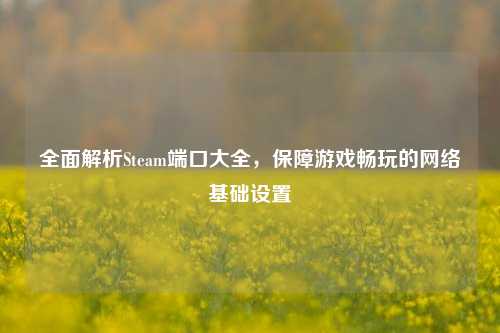 全面解析Steam端口大全，保障游戏畅玩的网络基础设置
