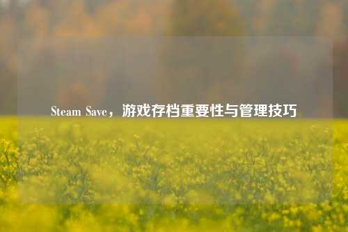 Steam Save,游戏存档重要性与管理技巧