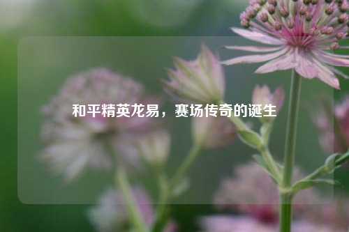 和平精英龙易,赛场传奇的诞生