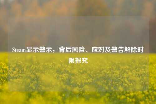 Steam显示警示，背后风险、应对及警告解除时限探究