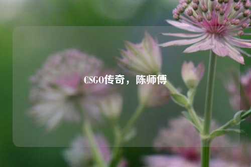 CSGO传奇，陈师傅