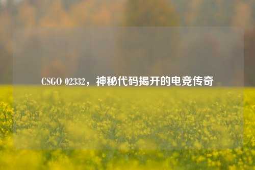 CSGO 02332，神秘代码揭开的电竞传奇