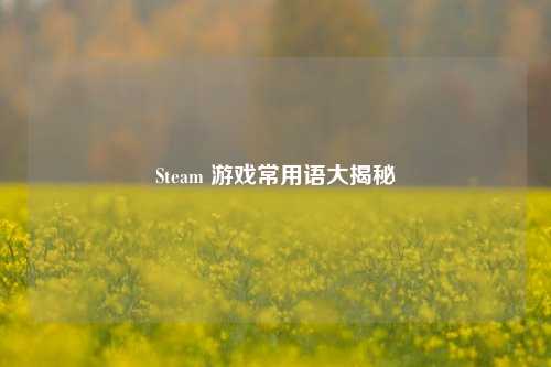Steam 游戏常用语大揭秘