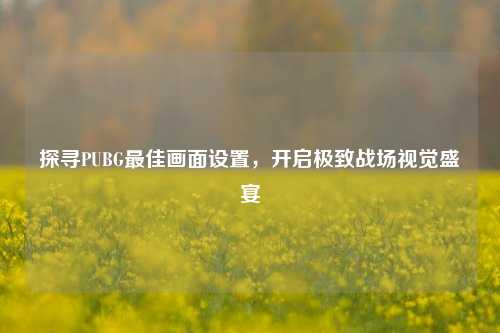 探寻PUBG最佳画面设置，开启极致战场视觉盛宴