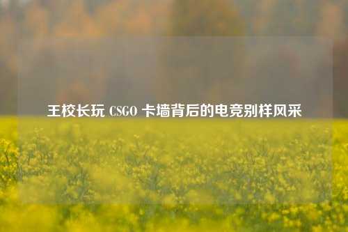 王校长玩 CSGO 卡墙背后的电竞别样风采