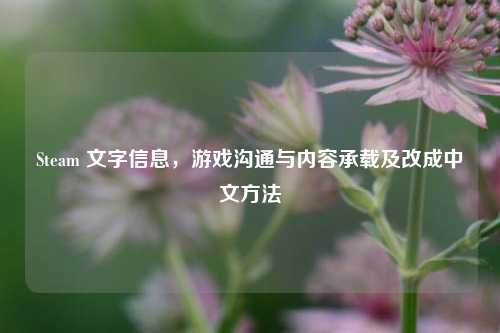 Steam 文字信息，游戏沟通与内容承载及改成中文方法