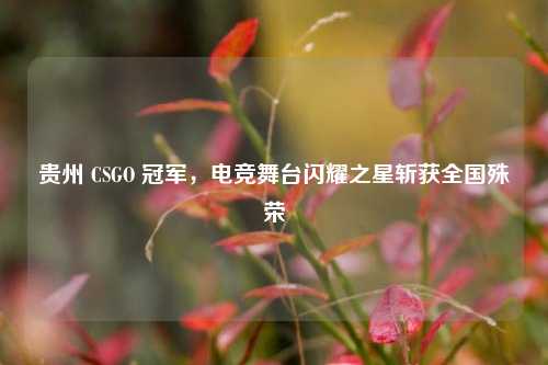 贵州 CSGO 冠军,电竞舞台闪耀之星斩获全国殊荣