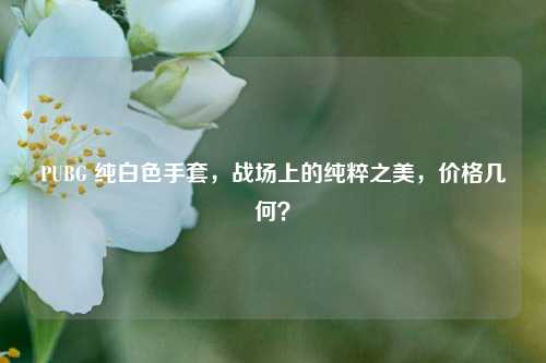PUBG 纯白色手套,战场上的纯粹之美,价格几何?