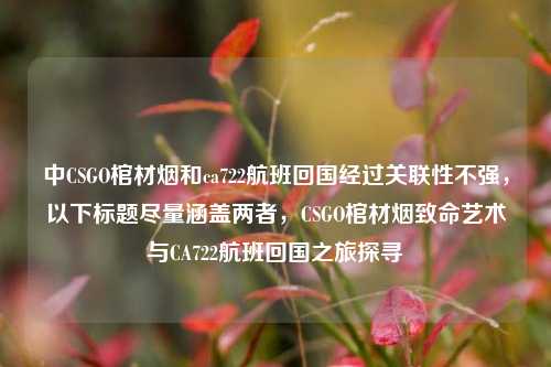 中CSGO棺材烟和ca722航班回国经过关联性不强，以下标题尽量涵盖两者，CSGO棺材烟致命艺术与CA722航班回国之旅探寻