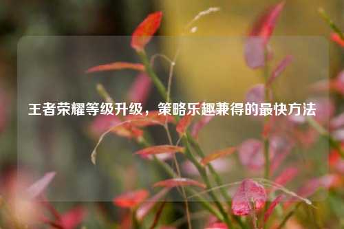 王者荣耀等级升级，策略乐趣兼得的最快方法