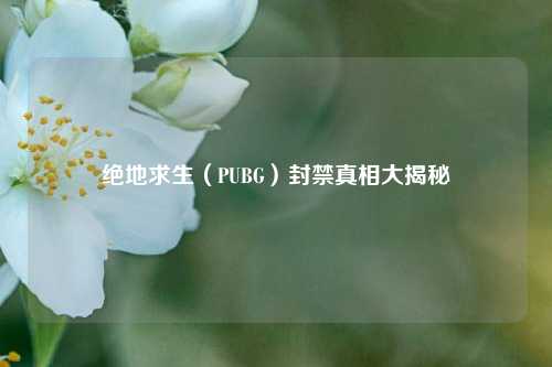 绝地求生（PUBG）封禁真相大揭秘