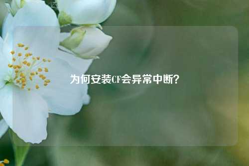 为何安装CF会异常中断?