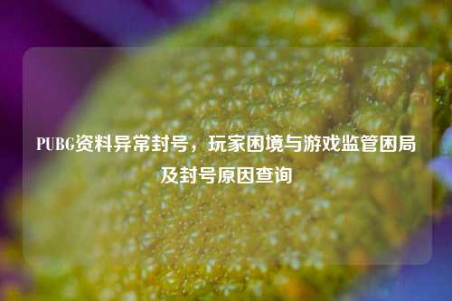 PUBG资料异常封号，玩家困境与游戏监管困局及封号原因查询