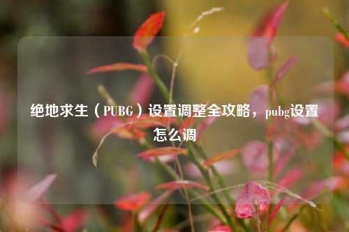 绝地求生(PUBG)设置调整全攻略,pubg设置怎么调