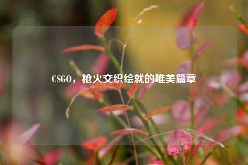 CSGO，枪火交织绘就的唯美篇章