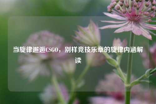 当旋律邂逅CSGO,别样竞技乐章的旋律内涵解读