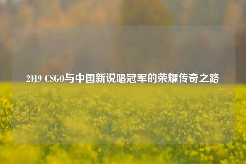 2019 CSGO与中国新说唱冠军的荣耀传奇之路